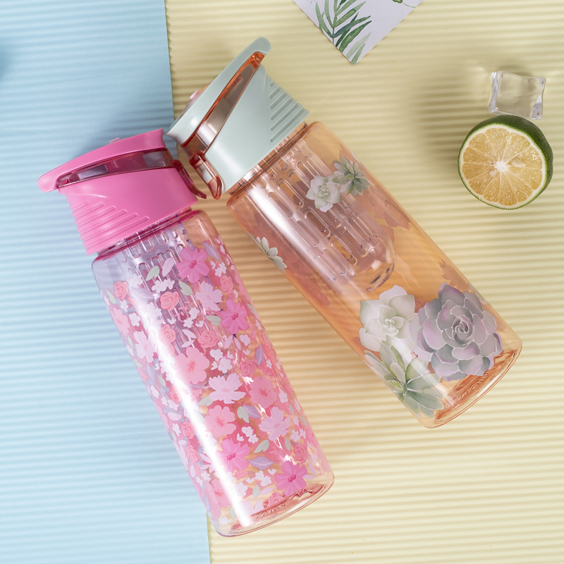 Portable Fruit Tea Water Bottle H2019119 700ml