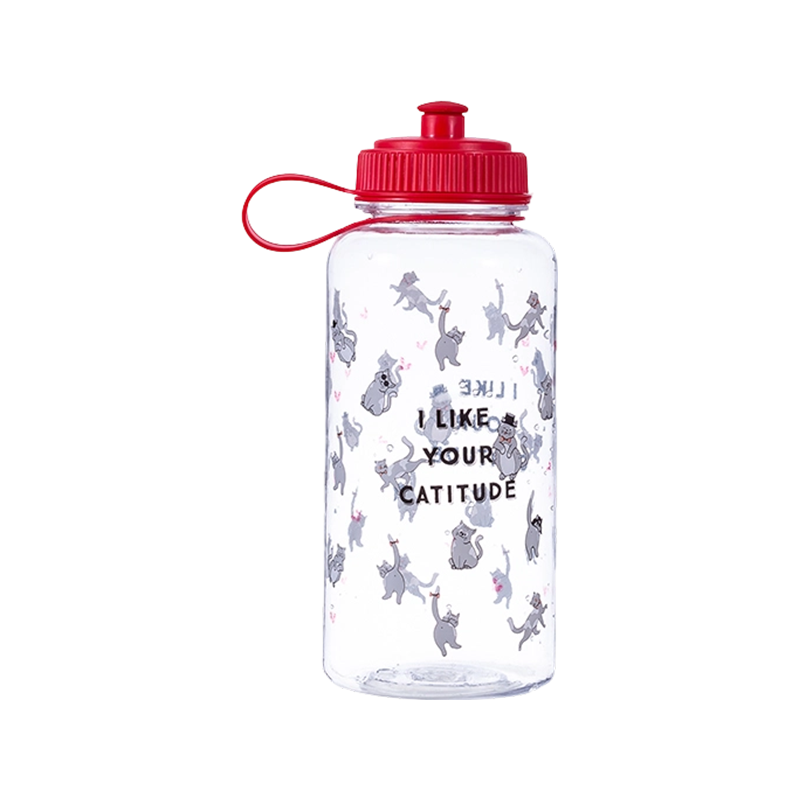 Straight Body Water Bottle With Spout DF1000 1L
