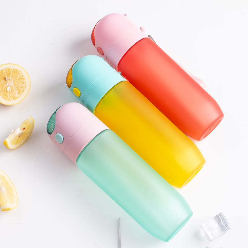 Single Wall Bullet Shape Water Bottle 1693 550ml